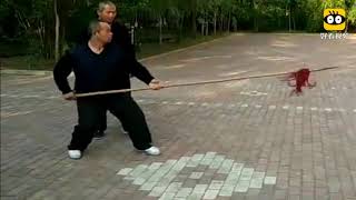 Su Kehai teaching Xingyi spear shaking dou da qiang [upl. by Xirtaeb]