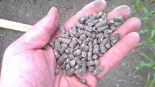 westland organic natural chicken manure pellets [upl. by Let]