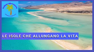 Canarie  le isole che allungano la vita [upl. by Bjorn]