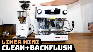 Clean  Backflush LINEA MINI by La Marzocco [upl. by Rebmac]