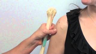 Humeral EZIO insertion official method [upl. by Dressler746]