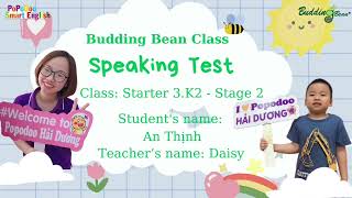 Budding bean Starter 3k2 Mini Test Phạm An Thịnh [upl. by Ecinnaj]