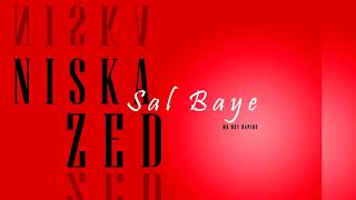 LeFUEGOBEATz FREE Instru I NISKA X ZED quot Sal Baye quot  Prod By Mr Dey Rapide [upl. by Anaigroeg]