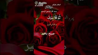 Surah Al kosar ki tilawat youtubeshorts [upl. by Hakan]