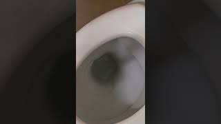 Toilet Not Filling Up With Water Fix 1 [upl. by Evol]