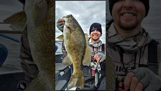 Mille Lacs Smallmouth Bass yesterday fall fishing MilleLacs bass smallmouth bigfish MN [upl. by Kristos342]