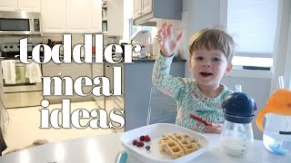 What My 2 Year Old Eats in a Day  Toddler Meal Ideas [upl. by Anod50]