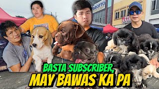 MAY BAWAS PAG SUBSCRIBER KA  GROTTO PET MARKET UPDATE  SEPTEMBER 29 2024 [upl. by Renault]