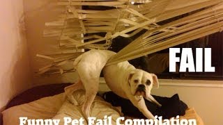 ANIMAL FAILS 😂 FUNNY PET Fails Compilation Funny Pets [upl. by Silevi]