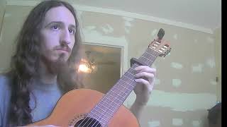 Mount and Blade Warband JS Hopkins  Swadian Hall Guitar Cover [upl. by Buddie]