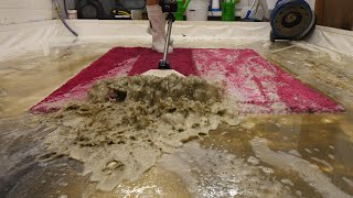 From Right Stink To Bright Pink INCREDIBLE Timelapse Restoration Satisfying ASMR Carpet Cleaning [upl. by Hinda]