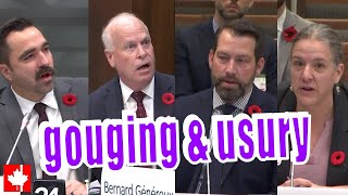 Ridiculous Feds blasted for inaction against gouging and usury returns in credit card industry [upl. by Westland441]