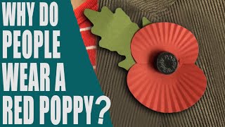 Why do people wear a red poppy What is Poppy Day Remembrance Day 2023  English Topic [upl. by Picardi914]