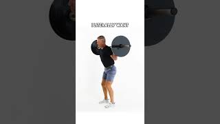 PROTECT Your Spine With This Posture Adjustment squat form [upl. by Mw]