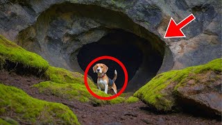 A DOG WONT STOP BARKING IN A CAVE UNTIL ITS OWNER MUSTERS THE COURAGE TO GO IN AND FIND OUT [upl. by Ailero312]