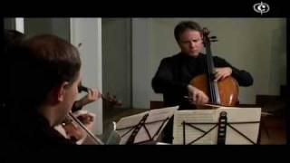 Borodin Quartet No 2 2 Mov Scherzo [upl. by Larentia289]