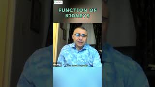 Physiological Functions Of Kidneys amp Its Complexity  Kidneys Functions [upl. by Paul324]