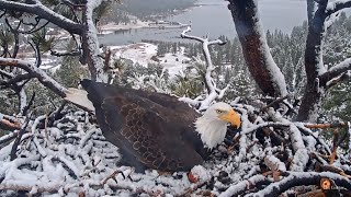 FOBBV CAM🦅Pit Stops amp Thundersnow⚡️❄️20240122 [upl. by Anawak]