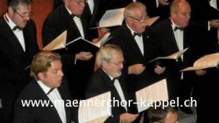 Stille Nacht heilige Nacht  Männerchor Kappel amp Jasmine Asatryan Ltg amp Solo [upl. by Nirtiac]