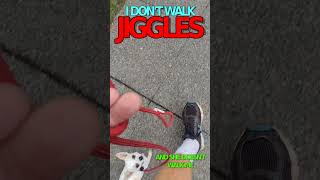 I DONT WALK JIGGLES jiggles chihuahuapuppy puppy [upl. by Alden]