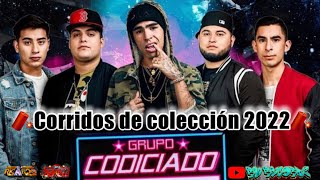 🧨grupo codiciado ❌mix corridos de coleccion 2022codiloco puros corridasos [upl. by Archibold]