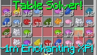 Enchanting Overhaul Update  Consistently get 1M XP Hypixel Skyblock [upl. by Rossuck]