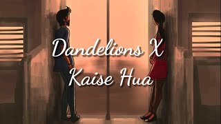 Dandelions X Kaise Hua Song Lyrics [upl. by Ciapas]