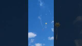 Shortest Rocket Launch Ever A83 estes rocket modelrockets flash HalfAftRocket [upl. by Niatirb]