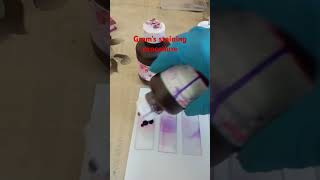 Gram staining procedure microbiology bacteria [upl. by Clemen]