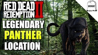 Legendary Panther Location Red Dead Redemption 2 [upl. by Aletsirc]