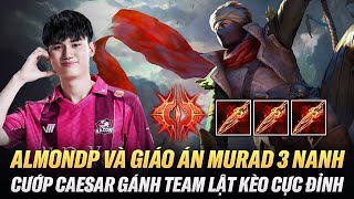 AlmondP Và Giáo Án Murad 3 Nanh Fenrir Cướp Caesar Gánh Team Lật Kèo Cực Đỉnh Rank Thách Đấu Thái [upl. by Peale932]