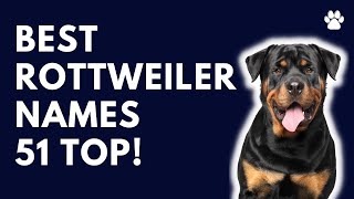 Rottweiler Dog Names 51 BEST amp CUTE amp TOP Ideas  Names [upl. by Penrod]