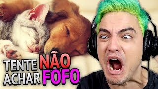 TENTE NÃO ACHAR FOFO  CACHORROS 10 [upl. by Eninnej16]