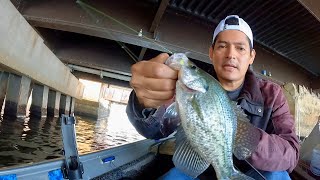 Tutorial crappie jig  Como pescar crappies en Carolina del Norte [upl. by Leamse]