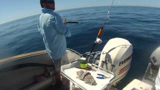 1080p HD  Fishing the Aldermens for Kingfish Coromandel New Zealand [upl. by Assyn]