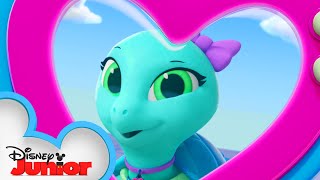 Sandy The Sea Turtle  Calling All TOTS  TOTS  disneyjr [upl. by Nugent]