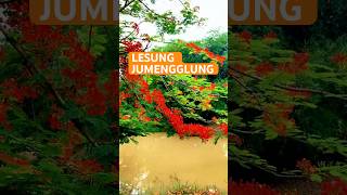 Lesung jumengglung lesungjumengglung krisnariswanto [upl. by Fira]