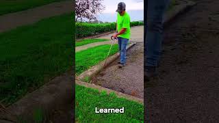 Satisfying Gardening Work 🌳 garden gardening satisfying cleaning grass lawn viral fyp 73 [upl. by Uzzial]