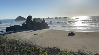 June 2020 BANDON COAST TRIP [upl. by Adnohr]