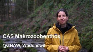 CAS Makrozoobenthos ZHAW Wädenswil [upl. by Gloriane]