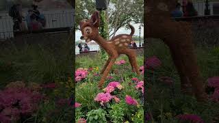 Bambi Topiaries  bambi epcot flowerandgardenfestival disney [upl. by Raeann35]