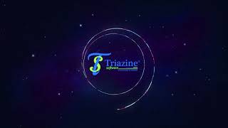 Meet  Team Triazine  Triazine Software Private Limited [upl. by Diet]