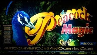 Aristocrat Technologies  Peacock Magic Slot Bonus WIN [upl. by Nanine109]