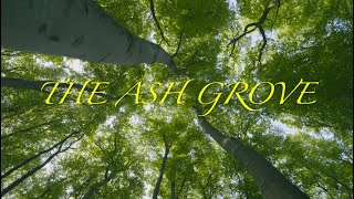 The Ash Grove [upl. by Nnep]