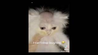 Memes I Found On The Internet part 4 funny memes shorts [upl. by Hcone]