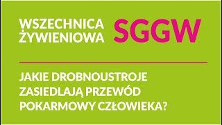 Jakie drobnoustroje zasiedlają przewód pokarmowy człowieka [upl. by Akitahs]