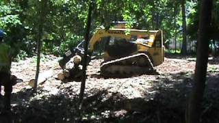 Precision Tree Service Skid Loader Brush Removalmpg [upl. by Bullen185]