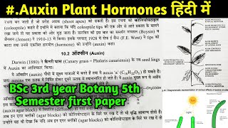 Auxin plant hormone in Hindi  BSc 3rd year Botany 5th semester first Paper  phytohormones [upl. by Dylana68]