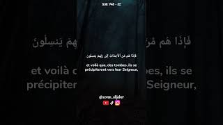 S36❤️🕋Versets 48  52🤲alijaber قران quranrecitation quran muhammad allah islamic ibrahim [upl. by Morvin]