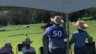 Australian stockmans challenge hunter valley [upl. by Hteazile]